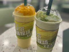 -茉酸奶(春熙路店)