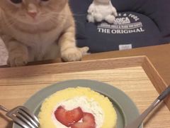 -肯德基(虹桥高铁店)