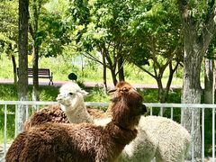 -水上乐园·欢乐世界