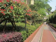 -铁路文化公园