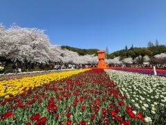 -苏州上方山国家森林公园