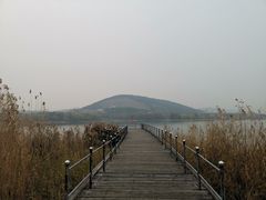 -长广溪湿地公园