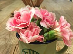 -宝珠奶酪(长宁金虹桥店)