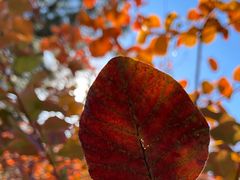 -北京西山国家森林公园