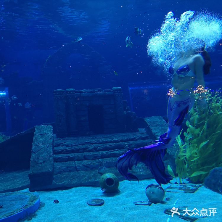 #昆明亲子游#99块玩转融创海世界!