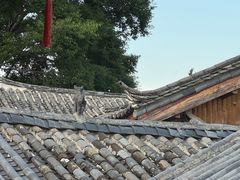 -民食香·腊排骨野生菌美食(木府店)