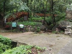 -大岭沟猕猴桃谷风景区