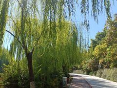 -南翠屏公园