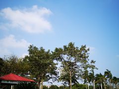 -万绿园