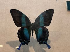 -陕西自然博物馆