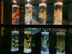 -广东中医药博物馆