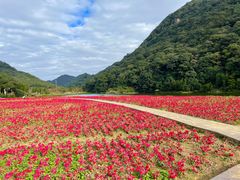 -广州市石门国家森林公园