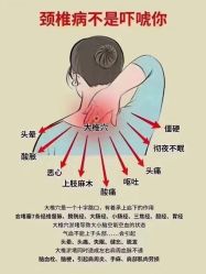 -希梵尔头皮抗衰·科技养发