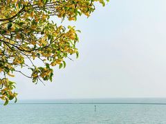 -贡湖湾湿地公园