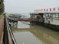 -大湾区中央湿地公园