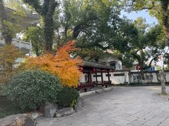 -江心屿景区