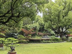 -申粤轩酒楼·三十年粤菜经典(丁香花园店)