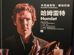 -百美汇影城(LUXE嘉里中心店)