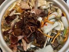 -野菌园·野生菌火锅首创第一家(关兴路总店)