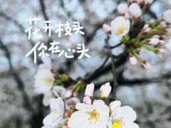 -苏州上方山国家森林公园