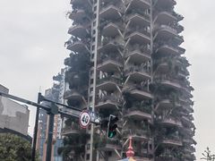 -找不到凉面(新都粮食局毗河油厂职工宿舍大院店)