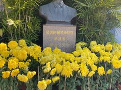 -鼓浪屿钢琴博物馆