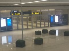 -上海浦东国际机场-T2航站楼