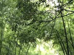 -苏州环秀晓筑养生度假村