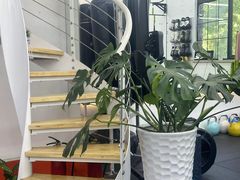 -重塑24小时自助健身(圣乔维斯店)