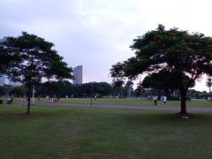 -万绿园