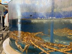 -北塘海鲜·天津菜(大光明桥旗舰店)