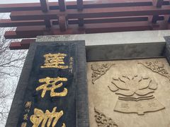 -莲花池公园
