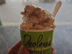 -Dooley's Premium Ice Cream