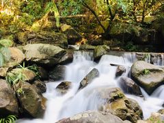 -四会奇石河风景区