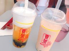 -铃木食堂(帽儿胡同店)