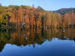 景点-广州市白云山风景名胜区