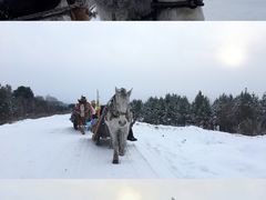 -北极村旅游风景区