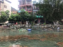 -靖西鹅泉风景区