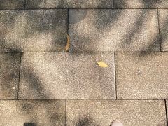 -火炉山森林公园