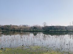 -铭莲·八卦田水上餐厅