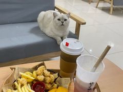 -鼓捣猫呢主题猫咖店