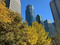 -陆家嘴中心绿地