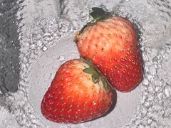 -曲水兰亭·兰亭·宴(上海虹桥店)