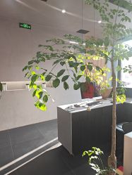 -老肖男士理发店