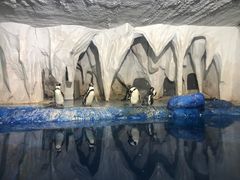-中央电视塔旋转餐厅