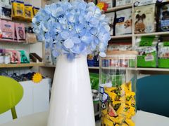 -乐琪宠物医院·犬猫专科·骨外科·急重症