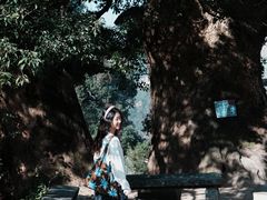 -杨家堂村