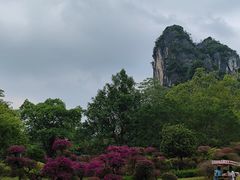 -南宁花花大世界景区