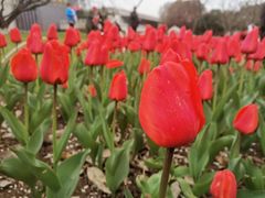 -玄武湖景区-情侣园游乐场