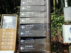 -仙岛湖旅游风景区